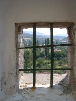 window to nature. Click to see next image.